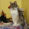 Отзыв от Клара Трофимова